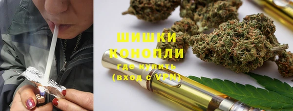 ПСИЛОЦИБИНОВЫЕ ГРИБЫ Алексеевка