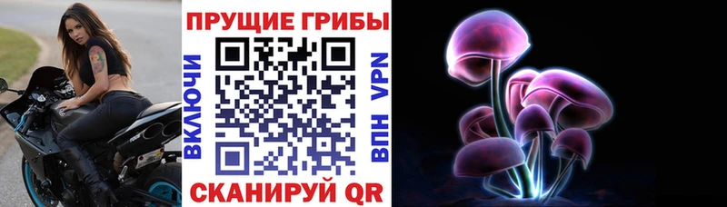 кракен вход  Николаевск  Галлюциногенные грибы Magic Shrooms 