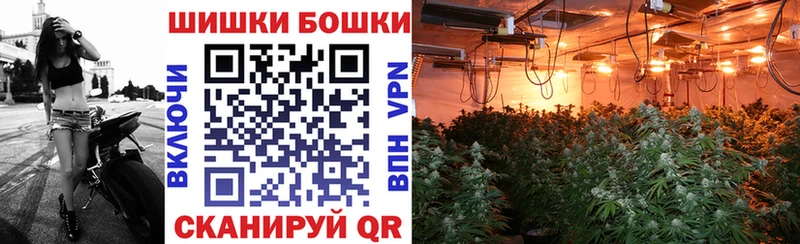 продажа наркотиков  Николаевск  Шишки марихуана White Widow 